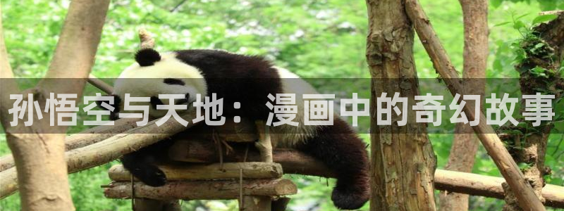 羞羞漫画无限金币在线阅读：孙悟空与天地：漫画中的奇幻故事